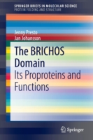 BRICHOS Domain
