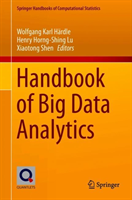 Handbook of Big Data Analytics