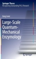 Large-Scale Quantum-Mechanical Enzymology