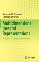 Multidimensional Integral Representations