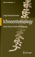 Ichnoentomology