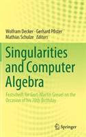 Singularities and Computer Algebra