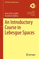Introductory Course in Lebesgue Spaces