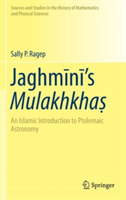 Jaghmīnī’s Mulakhkhaṣ