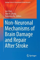 Non-Neuronal Mechanisms of Brain Damage and Repair After Stroke