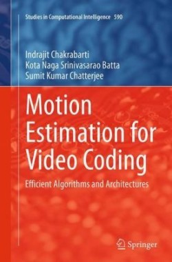 Motion Estimation for Video Coding