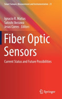 Fiber Optic Sensors Current Status and Future Possibilities