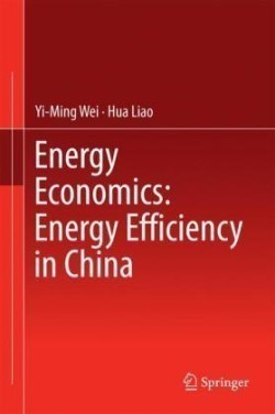 Energy Economics: Energy Efficiency in China