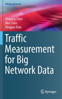 Traffic Measurement for Big Network Data
