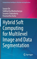 Hybrid Soft Computing for Multilevel Image and Data Segmentation