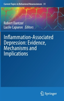 Inflammation-Associated Depression: Evidence, Mechanisms and Implications