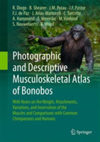 Photographic and Descriptive Musculoskeletal Atlas of Bonobos