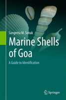 Marine Shells of Goa