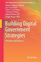 Building Digital Government Strategies Principles and Practices  *