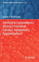 Intelligent Computations: Abstract Fractional Calculus, Inequalities, Approximations