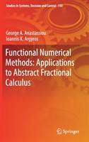 Functional Numerical Methods: Applications to Abstract Fractional Calculus