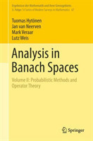 Analysis in Banach Spaces Volume II