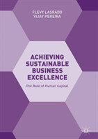 Achieving Sustainable Business Excellence
