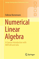 Numerical Linear Algebra*