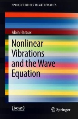 Nonlinear Vibrations and the Wave Equation