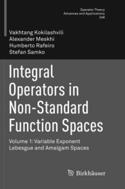 Integral Operators in Non-Standard Function Spaces