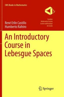 Introductory Course in Lebesgue Spaces