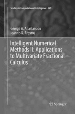 Intelligent Numerical Methods II: Applications to Multivariate Fractional Calculus