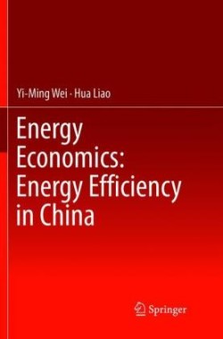 Energy Economics: Energy Efficiency in China