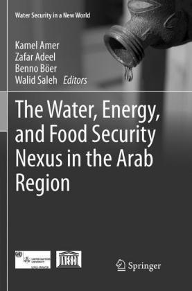 Water, Energy, and Food Security Nexus in the Arab Region