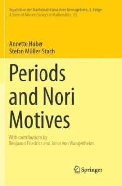 Periods and Nori Motives