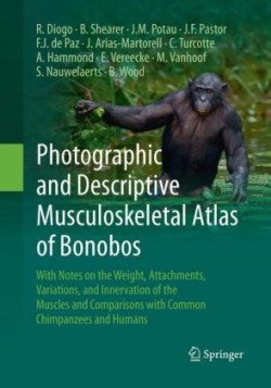 Photographic and Descriptive Musculoskeletal Atlas of Bonobos