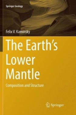 Earth's Lower Mantle