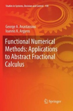 Functional Numerical Methods: Applications to Abstract Fractional Calculus