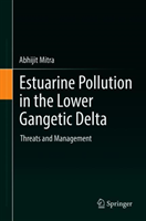 Estuarine Pollution in the Lower Gangetic Delta