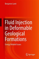 Fluid Injection in Deformable Geological Formations