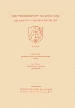 Bedingungen und Gang der Kohlenhydratsynthese im Licht / Die Endstufen des Stoffabbaues im Organismus