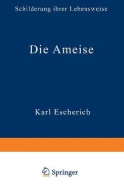 Die Ameise