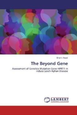 The Beyond Gene