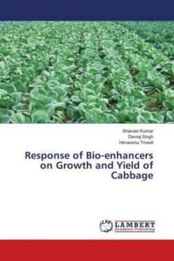 Response of Bio-enhancers on Growth and Yield of Cabbage