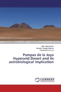 Pampas de la Joya Hyperarid Desert and its astrobiological implication