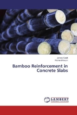 Bamboo Reinforcement in Concrete Slabs