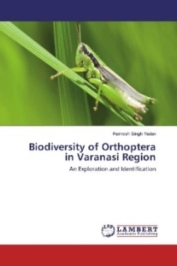 Biodiversity of Orthoptera in Varanasi Region