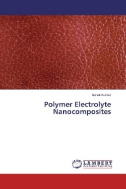 Polymer Electrolyte Nanocomposites