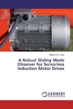 A Robust Sliding Mode Observer for Sensorless Induction Motor Drives