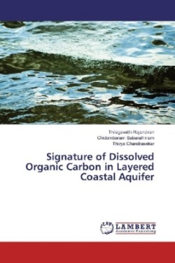 Signature of Dissolved Organic Carbon in Layered Coastal Aquifer