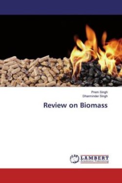 Review on Biomass