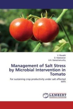 Management of Salt Stress by Microbial Intervention in Tomato