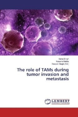The role of TAMs during tumor invasion and metastasis