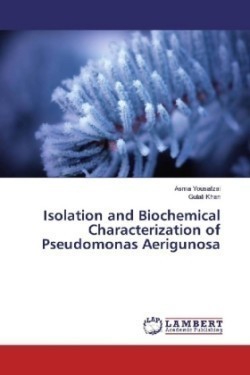 Isolation and Biochemical Characterization of Pseudomonas Aerigunosa