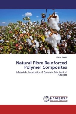 Natural Fibre Reinforced Polymer Composites